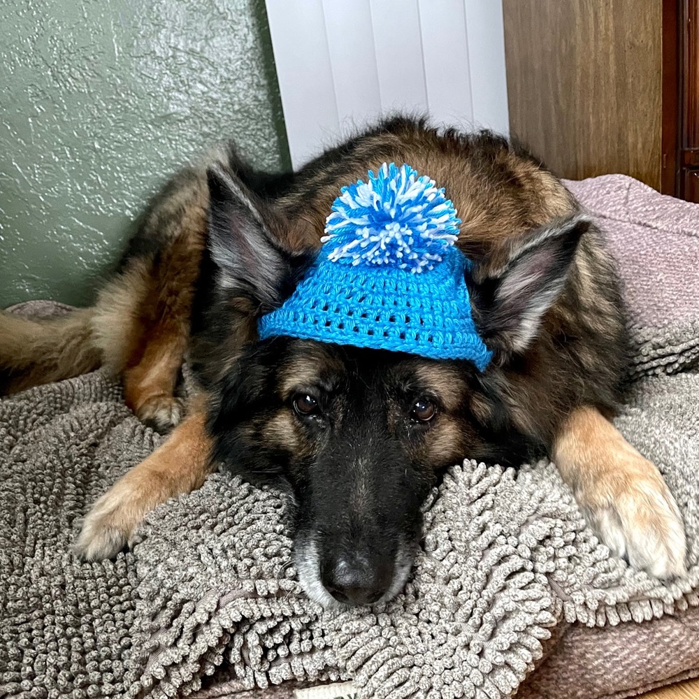 Custom-Made Crochet Pet Hats
